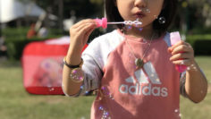 popaim_113