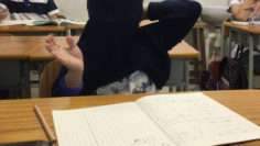 popaim_086