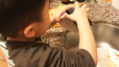 媽媽可以放手，讓孩子幫幫自己做家務