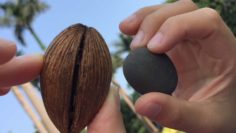 180904_article_barbara