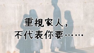 180911_profeed_popa_0