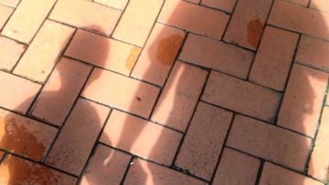 父子關係是很有趣的，兩個男性可以相擁，親吻，互訴心事。