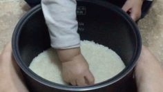 好奇心是興趣的第一步,也能幫助小孩自發去汲取知識的原動力