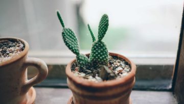 婆媳關係是個難題