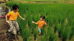 孩子跟著我們也像野人一樣