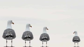 子女被欺凌，家長可以做什麼？