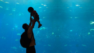 親子旅行是終極一戰