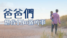 爸爸不是豬隊友