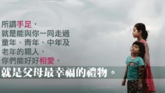 姐妹情深