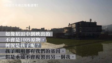 孩子不是父母的複製品