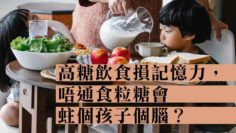 高糖飲食捐記憶力
