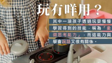 假想遊戲 認知 語言