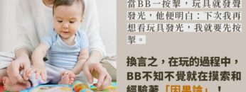 語言 因果