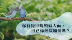 在婚姻中做蝕底的另一半