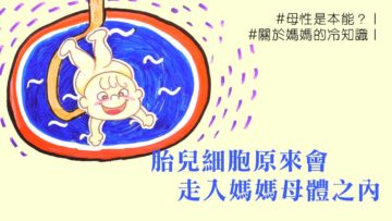 胎兒細胞-母體-研究