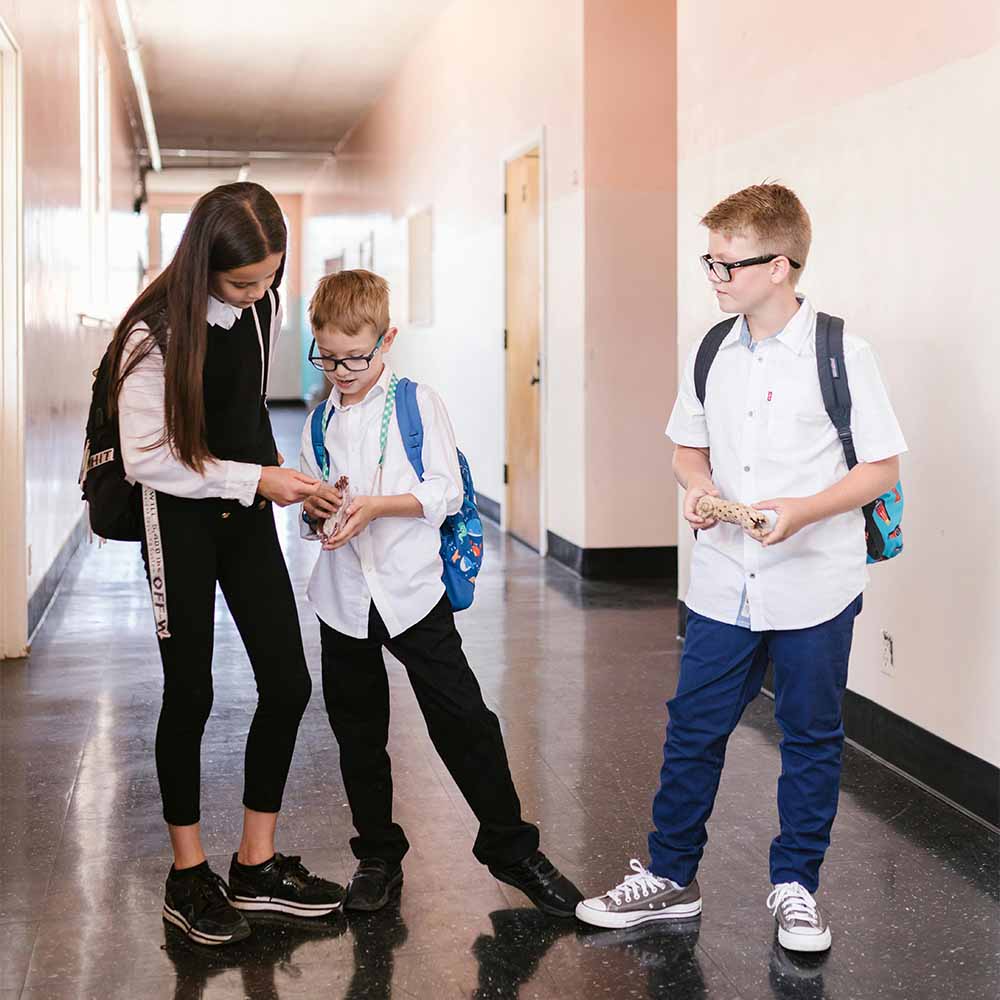 Social Emotional Learning（SEL）社交情緒學習｜培養孩子情緒調適能力