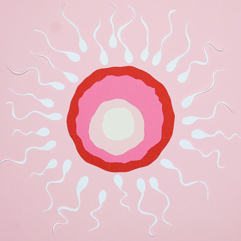 生育是2個人的事：精子品質都有保鮮期？