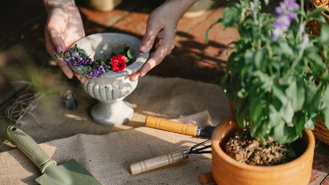 擺脫現代人的教養焦慮:從戰爭變成滋養 擺脫現代人的教養焦慮:從戰爭變成滋養