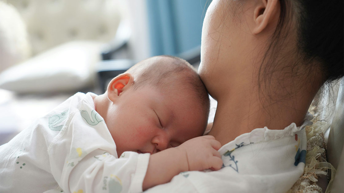 從小獼猴Panchi 看:依附理論如何培養孩子心理韌性? 依附理論-心理韌性