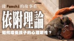 Panchi-心理韌性-依附理論